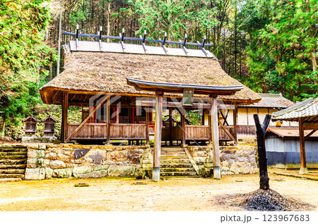 上鴨川住吉神社　拝殿と境内　兵庫県加東市 123967683