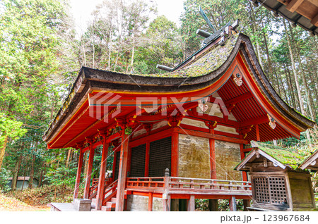 上鴨川住吉神社 重要文化財の本殿1 兵庫県加東市 上鴨川住吉神社 重要文化財の本殿1 兵庫県加東市 123967684