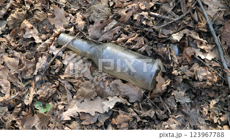 In an oak forest, a discarded glass bottle lies among fallen leaves, highlighting the impact of environmental pollution on natural ecosystems. In an oak forest, a discarded glass bottle lies among fallen leaves, highlighting the impact of environmental pollution on natural ecosystems. 123967788