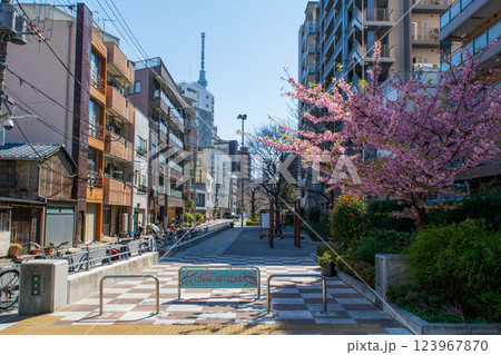 東京都台東区 隅田川から新吉原大門への水上路跡 山谷堀公園 東京都台東区 隅田川から新吉原大門への水上路跡 山谷堀公園 123967870