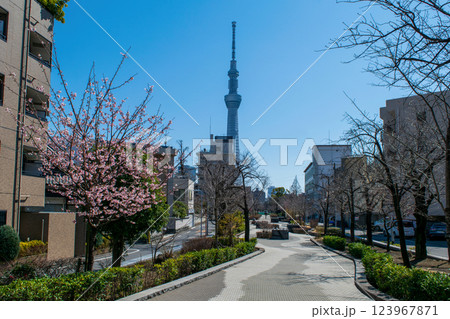 東京都台東区　隅田川から新吉原大門への水上路跡　山谷堀公園 123967871