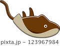 シンプルな可愛いこげ茶色のアカエイのイラスト 123967984