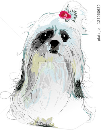 ロングヘアのシーズーのシンプルなイラスト ロングヘアのシーズーのシンプルなイラスト 123968620