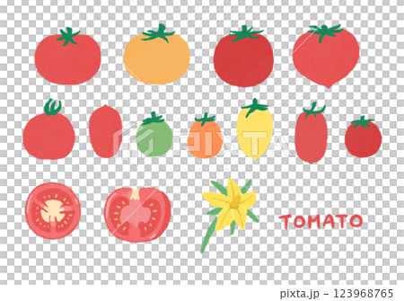 Various tomato illustration set 123968765