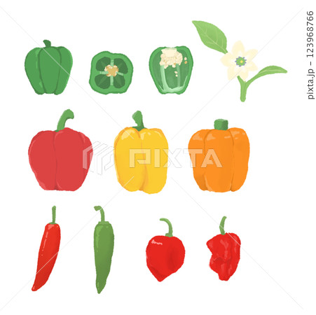 いろいろな野菜のイラスト 123968766