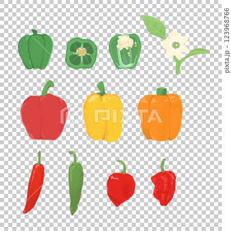 Illustration of various vegetables 123968766