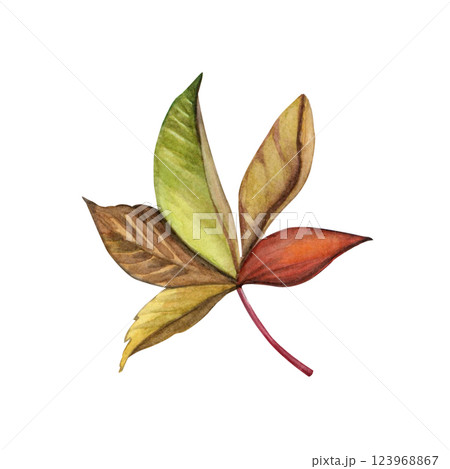 Watercolor o beautiful colorful autumn leaf on a white background. Good for postcards, books, invitations, greeting cards, wallpaper and textiles. 123968867