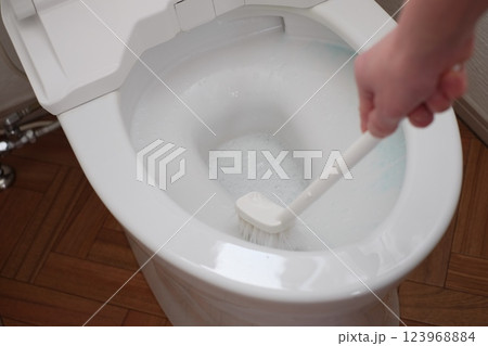 ブラシでトイレ掃除 ブラシでトイレ掃除 123968884