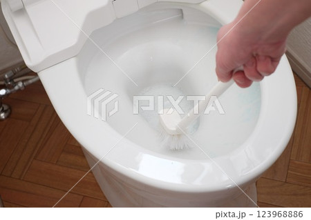 ブラシでトイレ掃除 123968886