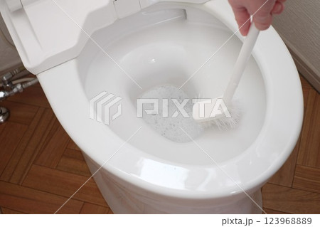 ブラシでトイレ掃除 123968889