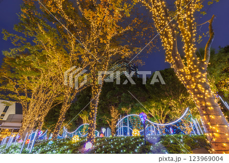 クリスマスイルミネーションの新宿南口 123969004