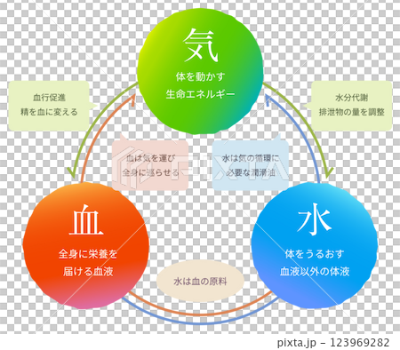 気血水の図解ベクターイラスト そのまま使えるVer 気血水の図解ベクターイラスト そのまま使えるVer 123969282