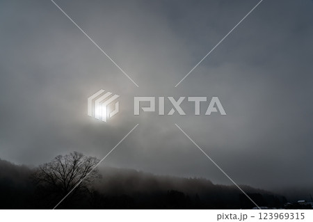 山村の幻想的な霧を撮影 山村の幻想的な霧を撮影 123969315