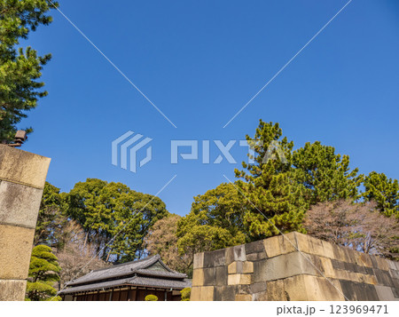 皇居東御苑　中之門跡の石垣と大番所 123969471