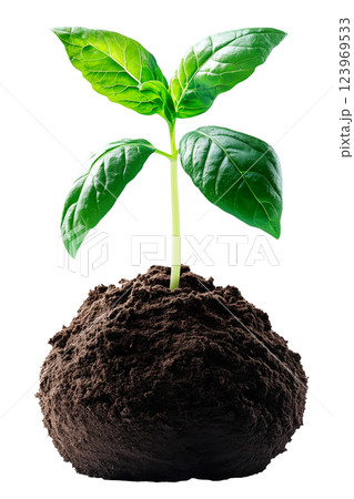 Young green plant sprouting from a mound of fertile soil, isolated on a transparent background. Concept of growth, nature, sustainability, and environmental conservation. 123969533