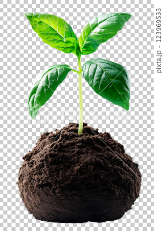 Young green plant sprouting from a mound of fertile soil, isolated on a transparent background. Concept of growth, nature, sustainability, and environmental conservation. 123969533