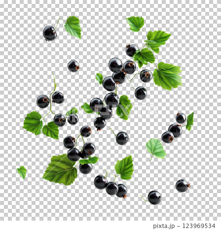 Fresh blackcurrant berries with green leaves, floating on a transparent background. Realistic black currant fruits in mid-air, highlighting their texture and appeal 123969534