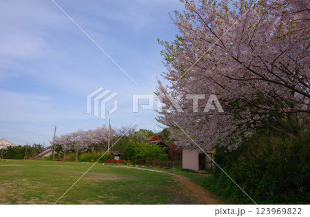兵庫県洲本市　サンセットパーク五色・夕日が丘公園　 123969822