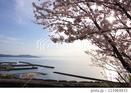 兵庫県洲本市　桜の咲く夕日が丘公園から新五色浜・雁子岬・鳴門市方面を望む 123969835
