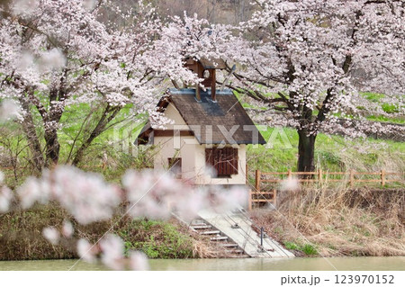甲斐市の梅の里公園の矢木羽湖の桜と取水棟・2 123970152