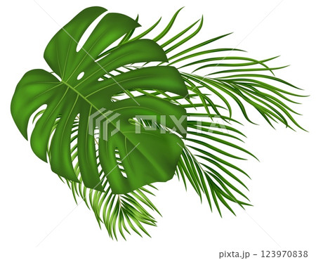 Lush tropical greenery elements. For invitations, posters, social media content with summer and travel theme. Vector illustration Lush tropical greenery elements. For invitations, posters, social media content with summer and travel theme. Vector illustration 123970838