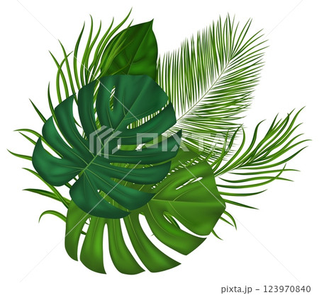 Realistic green tropical palm fronds. For summer events, botanical prints, eco designs, travel marketing materials. Vector illustration. Realistic green tropical palm fronds. For summer events, botanical prints, eco designs, travel marketing materials. Vector illustration. 123970840