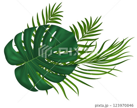 Summer tropical green palm leaves. For eco designs, party decor, summer marketing materials. Vector illustration Summer tropical green palm leaves. For eco designs, party decor, summer marketing materials. Vector illustration 123970846