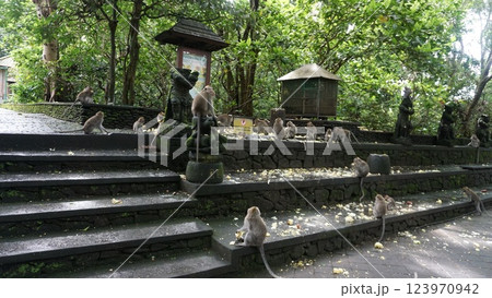 Statue and monkeys at Ubud Monkey Forest, Bali, Indonesia Statue and monkeys at Ubud Monkey Forest, Bali, Indonesia 123970942