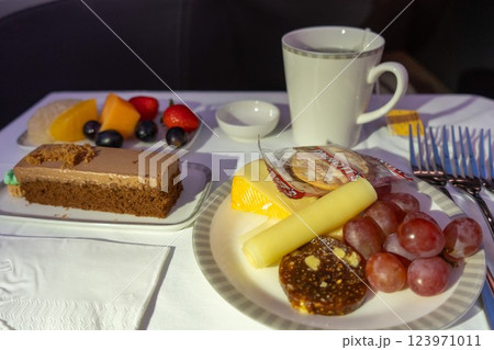 フルーツとチョコレートケーキの機内食 フルーツとチョコレートケーキの機内食 123971011