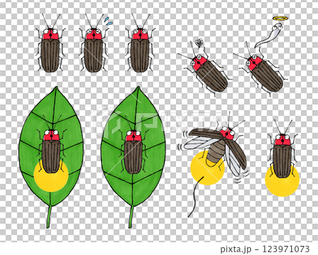 Firefly Set 123971073