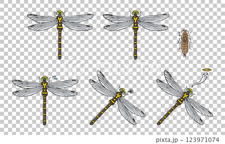 Oni-dorina set Oni-dorina set 123971074