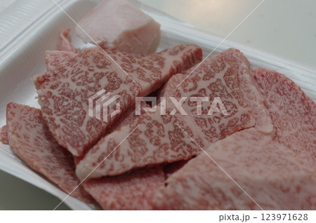 高級な綺麗な霜降りの国産牛肉 123971628