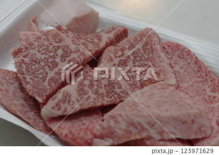 高級な綺麗な霜降りの国産牛肉 123971629