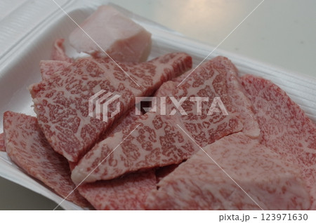 高級な綺麗な霜降りの国産牛肉 123971630