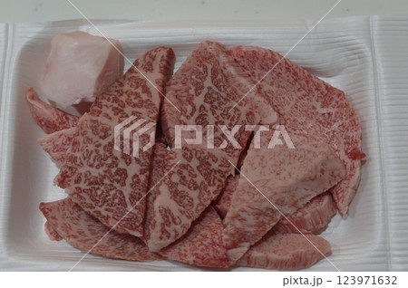 高級な綺麗な霜降りの国産牛肉 123971632