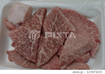 高級な綺麗な霜降りの国産牛肉 123971633
