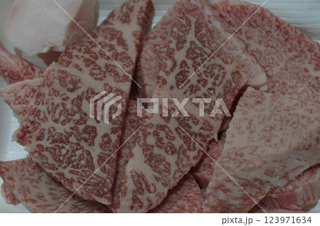 高級な綺麗な霜降りの国産牛肉 高級な綺麗な霜降りの国産牛肉 123971634