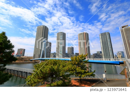 東雲のタワーマンションと辰巳桜橋(東京都江東区) 東雲のタワーマンションと辰巳桜橋(東京都江東区) 123971641