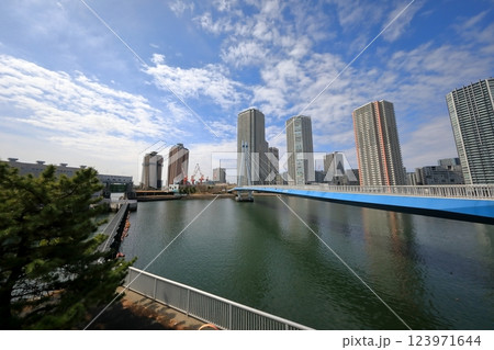 東雲のタワーマンションと辰巳桜橋(東京都江東区) 東雲のタワーマンションと辰巳桜橋(東京都江東区) 123971644