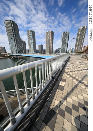 東雲のタワーマンションと辰巳桜橋(東京都江東区) 東雲のタワーマンションと辰巳桜橋(東京都江東区) 123971646