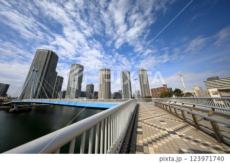 東雲のタワーマンションと辰巳桜橋(東京都江東区) 東雲のタワーマンションと辰巳桜橋(東京都江東区) 123971740