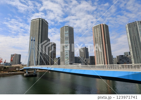 東雲のタワーマンションと辰巳桜橋(東京都江東区) 東雲のタワーマンションと辰巳桜橋(東京都江東区) 123971741