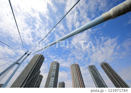 東雲のタワーマンションと辰巳桜橋(東京都江東区) 東雲のタワーマンションと辰巳桜橋(東京都江東区) 123971784