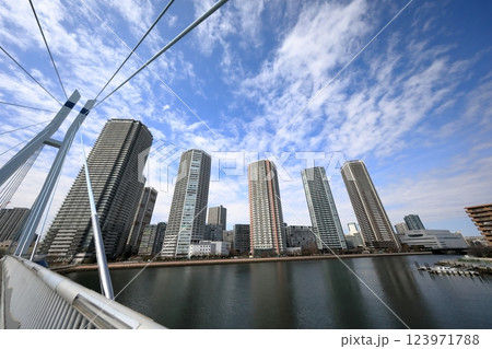 東雲のタワーマンションと辰巳桜橋（東京都江東区） 123971788