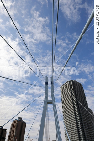 東雲のタワーマンションと辰巳桜橋(東京都江東区) 東雲のタワーマンションと辰巳桜橋(東京都江東区) 123971789