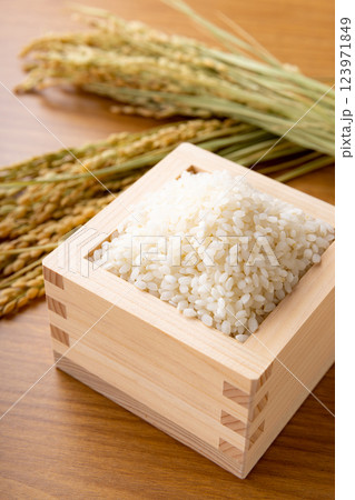升に入れた米と稲穂 123971849