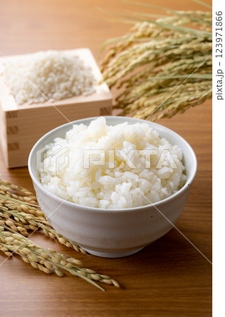 白米 茶碗 白米 茶碗 123971866