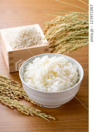 白米　茶碗 123971867