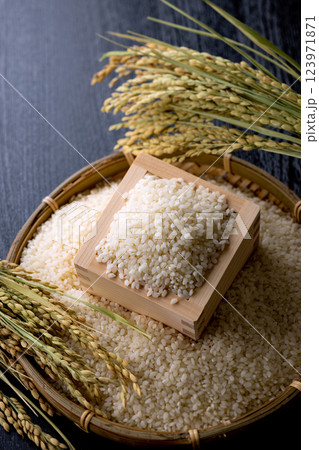 升に入ったお米 123971871