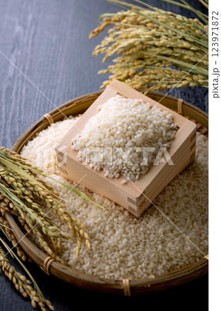 升に入ったお米 123971872